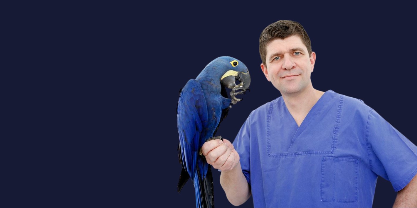 Berufe mit Geschichten - Tierarzt