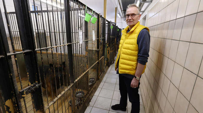 Die Zwinger sind &quot;viel zu klein und vom Veterinärsamt nur noch geduldet werden&quot;, sagt Hans-Peter Glauner, Vorsitzender des Tierschutzvereins Kehl-Hanauerland — © Christoph Breithaupt