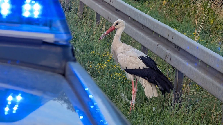 — © Polizeipräsidium Offenburg