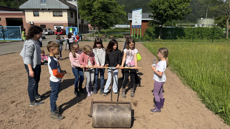 — © Volksbank Lahr