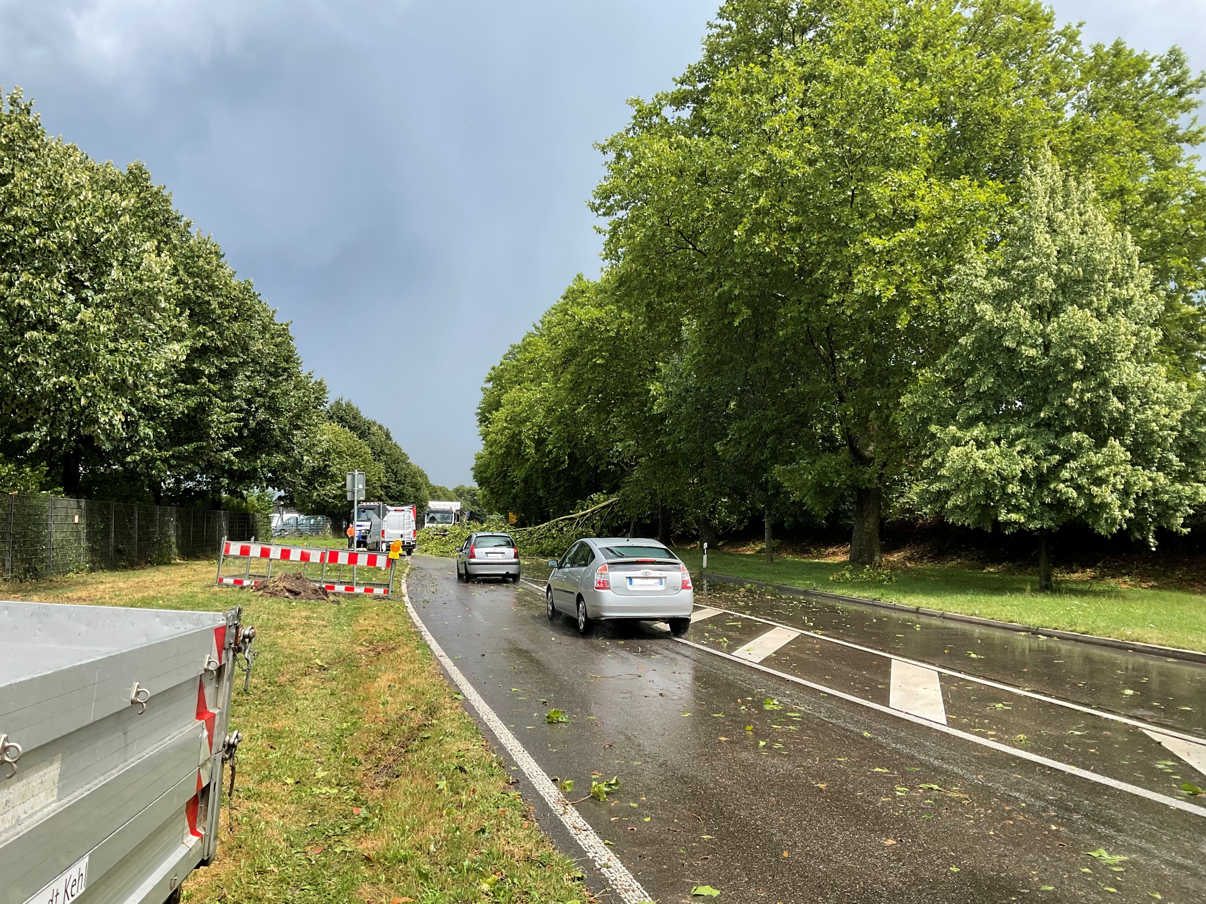 © Stadt Kehl